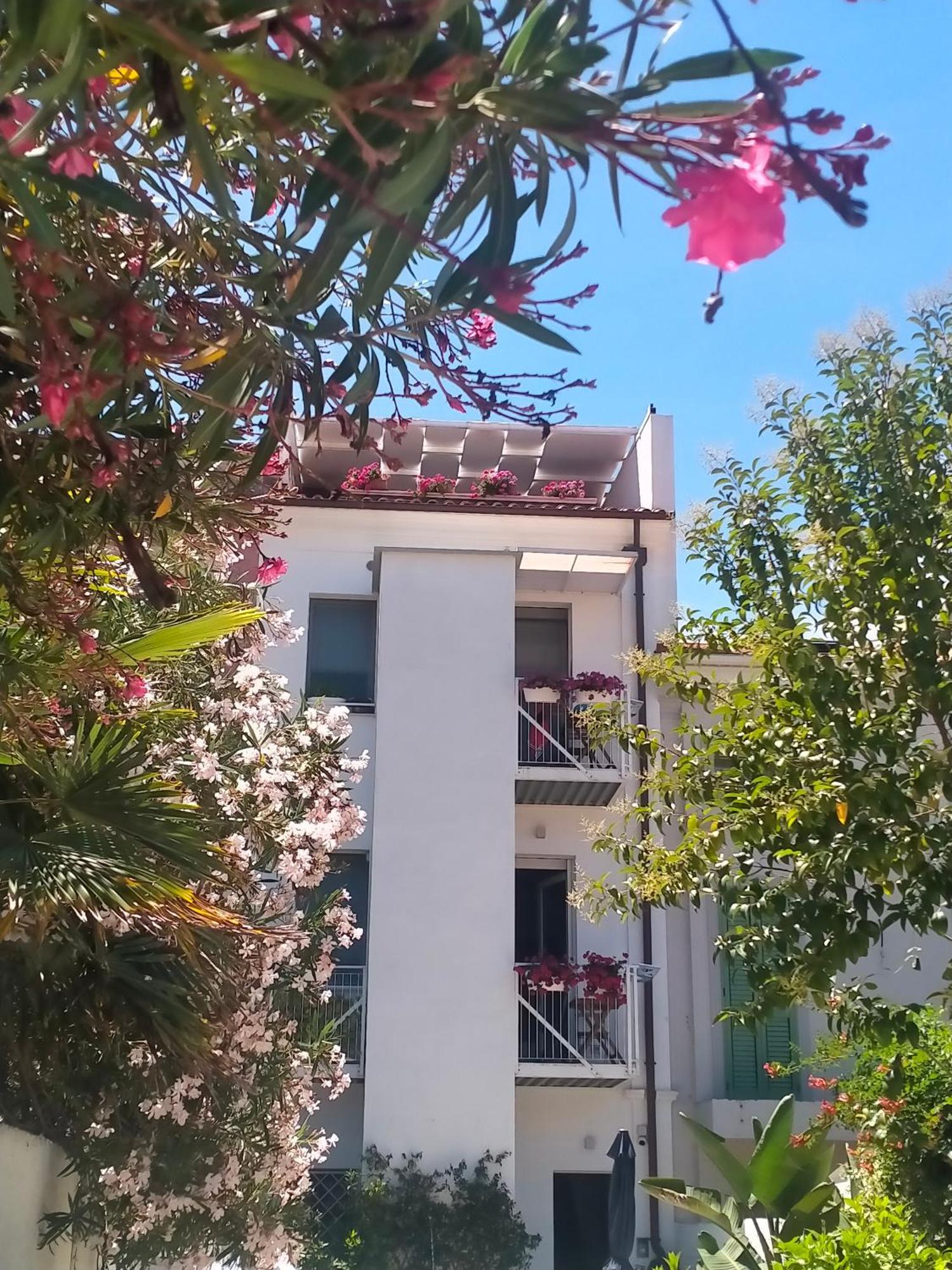 B&B Previsto Sole Civitanova Marche Buitenkant foto